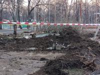 Imagine atasata: dem-bega (5).jpg